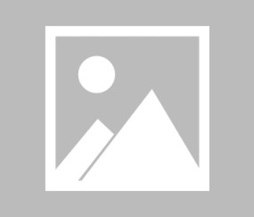 爱游戏-Scout连续三场比赛得分超过挺进下一轮，加拿大队挑战极限！的简单介绍